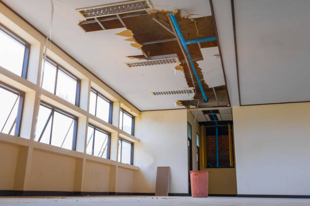 Best Carpet water damage restoration  in Center Point, IA