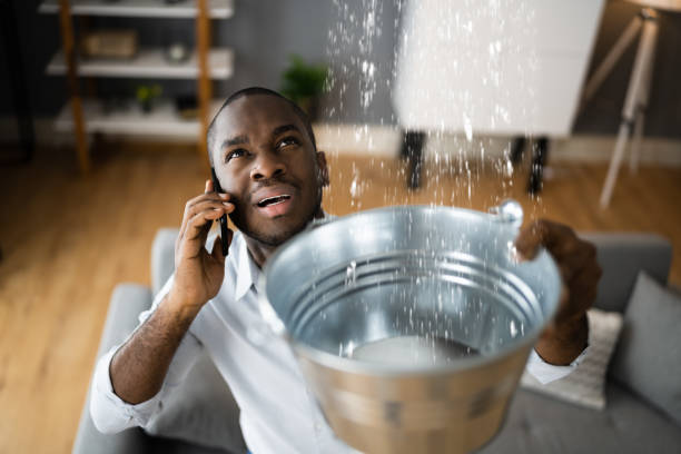 Best Flood damage cleanup  in Center Point, IA