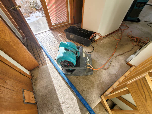 Best Water damage contractors near me  in Center Point, IA