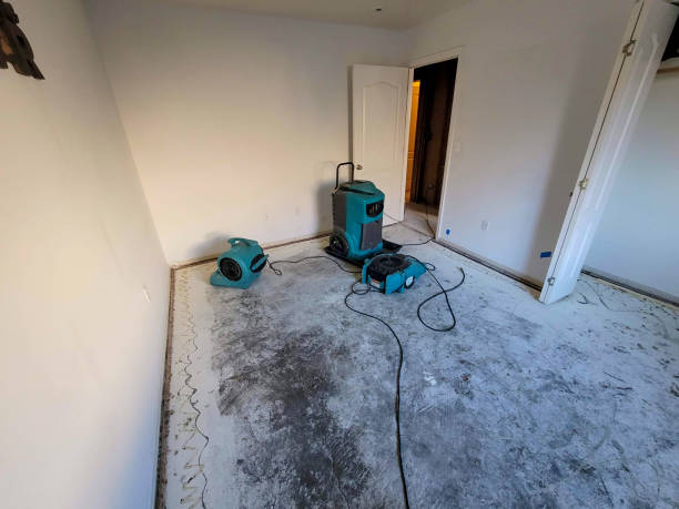 Best Flood restoration services  in Center Point, IA