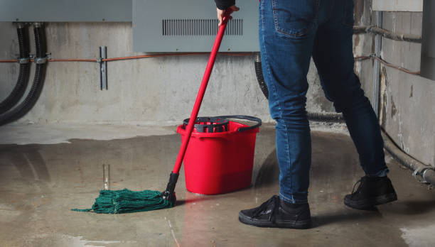 Best Basement water damage restoration  in Center Point, IA