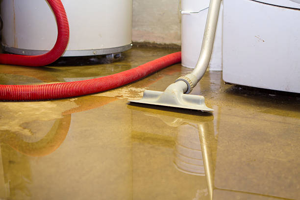 Carpet water damage restoration in Center Point, IA