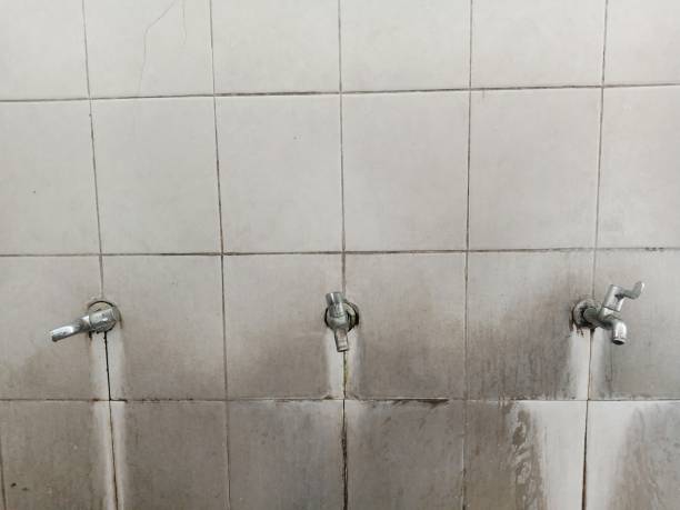 Best Flood damage cleanup  in Center Point, IA