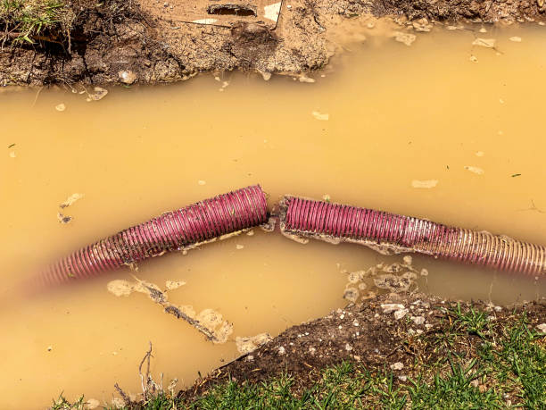 Best Water damage restoration near me  in Center Point, IA