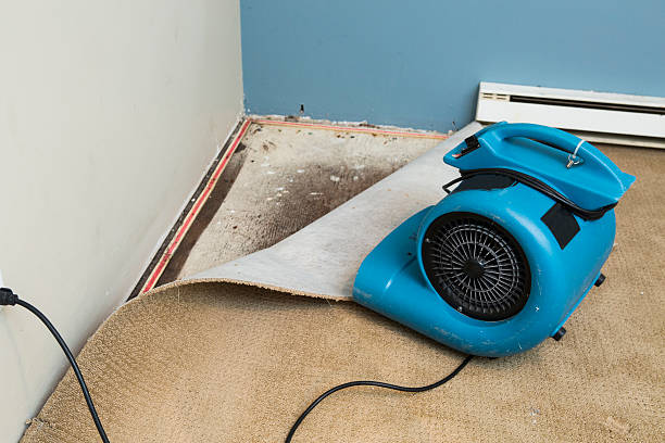 Best Water damage restoration near me  in Center Point, IA